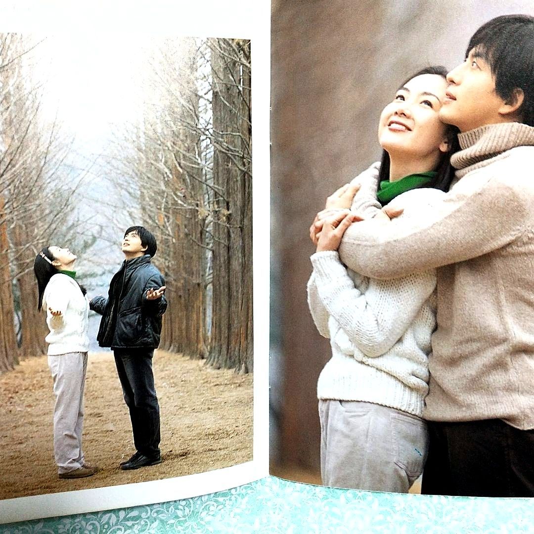 冬のソナタ 韓国KBSノーカット完全版14枚組DVD-BOX初回特典