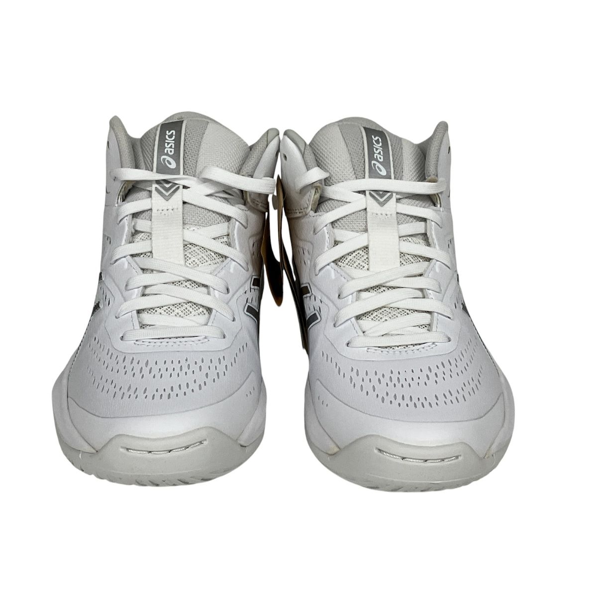 V15 バスケットボール