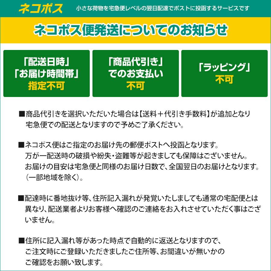 カメラ 【ネコポス便配送・送料無料】ケンコー ゼクロスII