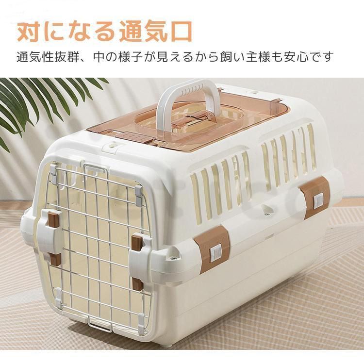 中型