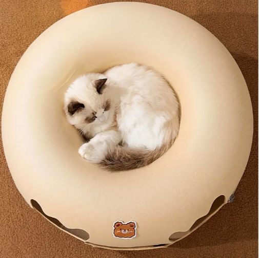 ネスト キャット