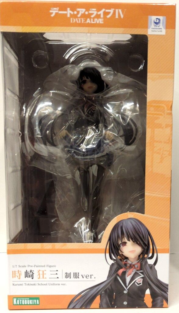 コウモリラン（ビカクシダ）ベイチー 3号 12株セット ショップ 現品