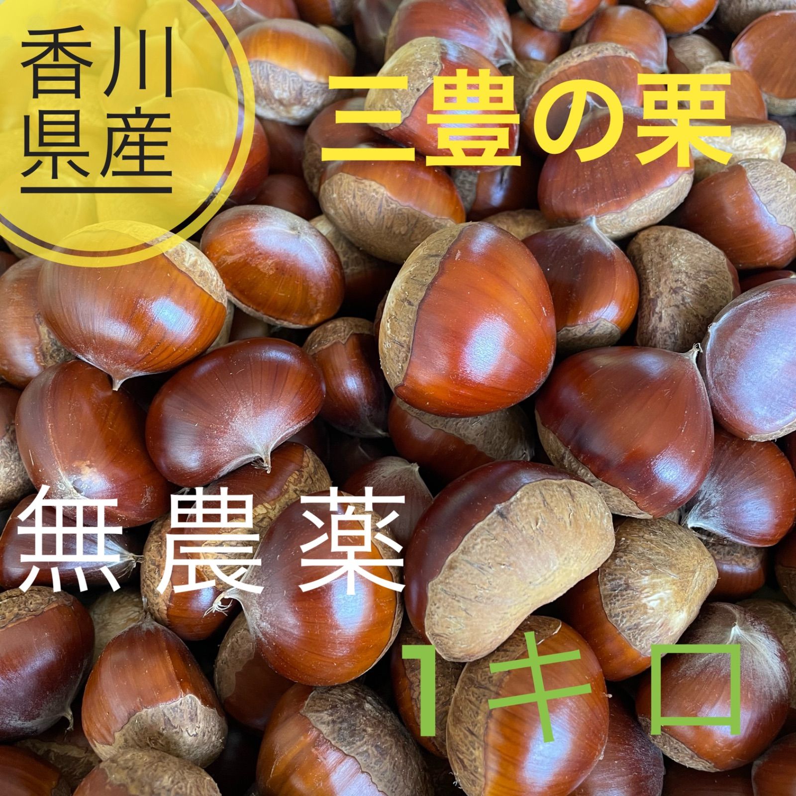 生栗 1Kg 無農薬 長野県