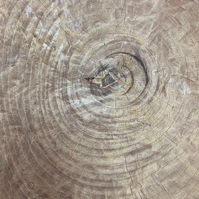 現地引取のみ リユース品