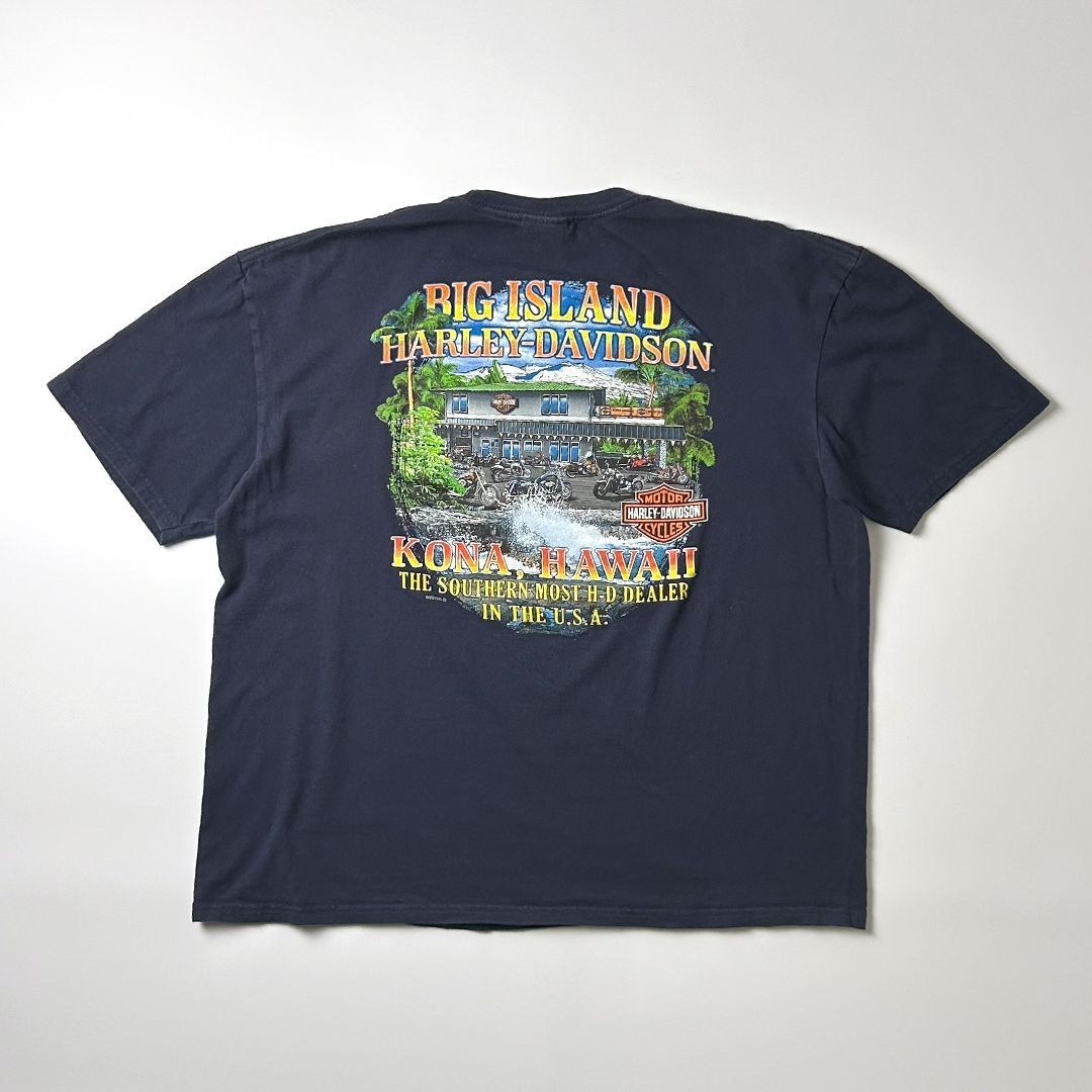 ハーレーダビッドソン ノースリーブ プリントTシャツ ハワイ L グレー 緑 1240002241538_1.jpg