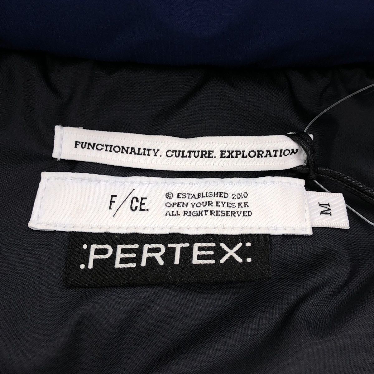 100枚限定】ポケモン コレクタブルアート レックウザ逆鱗