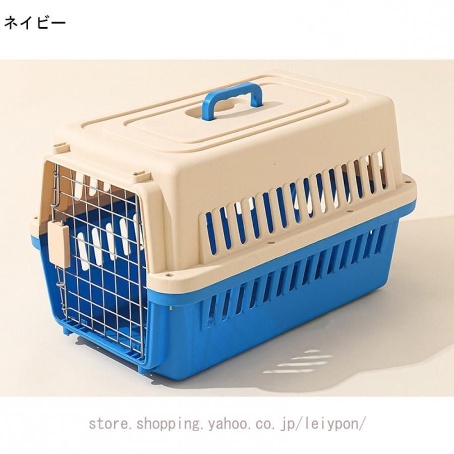 うさぎ