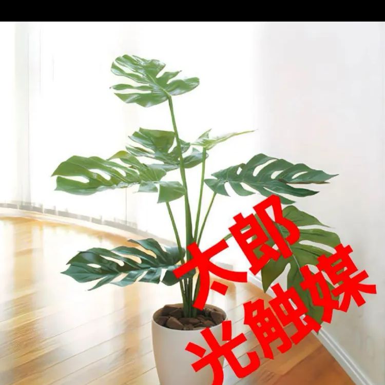 光触媒　人工観葉植物　ウォールグリーン　フェイクグリーン　モンステラ75 光触媒 人工観葉植物 ウォールグリーン フェイクグリーン モンステラ75