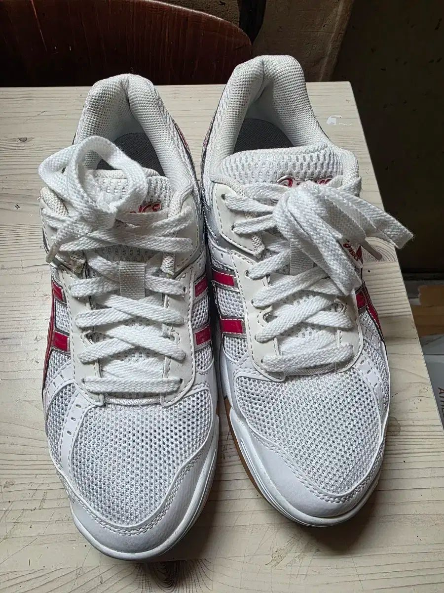 asics アシックス 宝くじ fl5 バレーボール バドミントン スポーツ大学入試 240mm