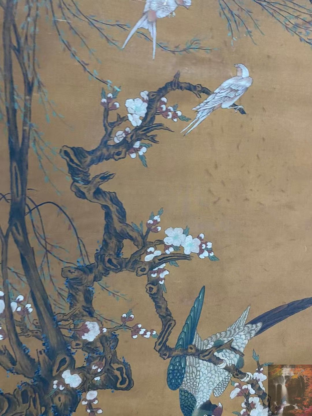 中国花鳥絵 中国 花鳥画 色鮮やかな中国画、花鳥図を額装しました