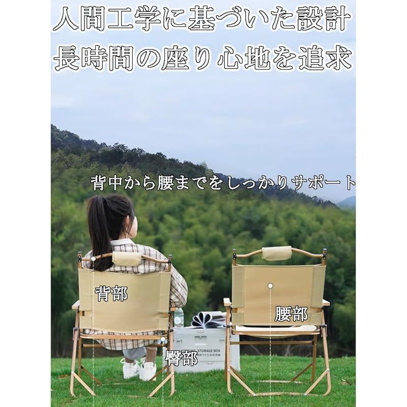 スノーピーク snowpeak Take! チェア LV-080YL テイクチェア 廃盤
