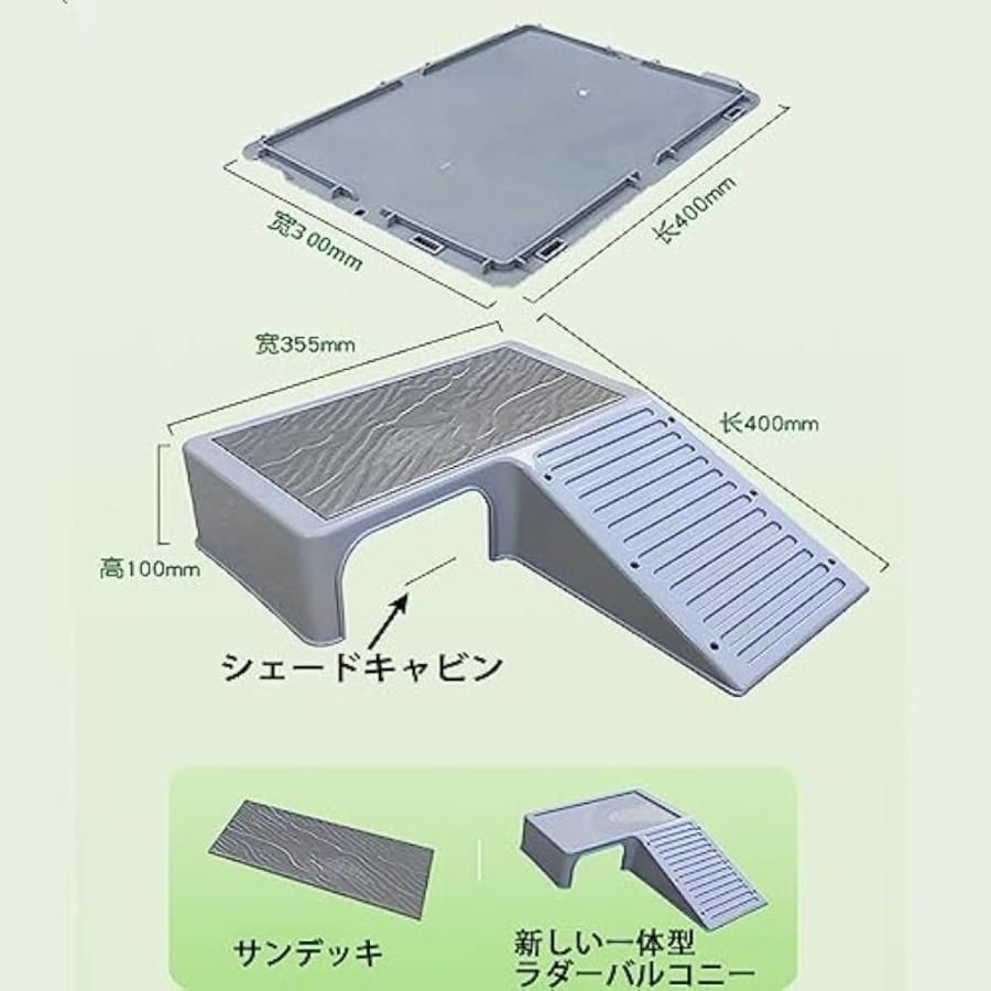 爬虫類