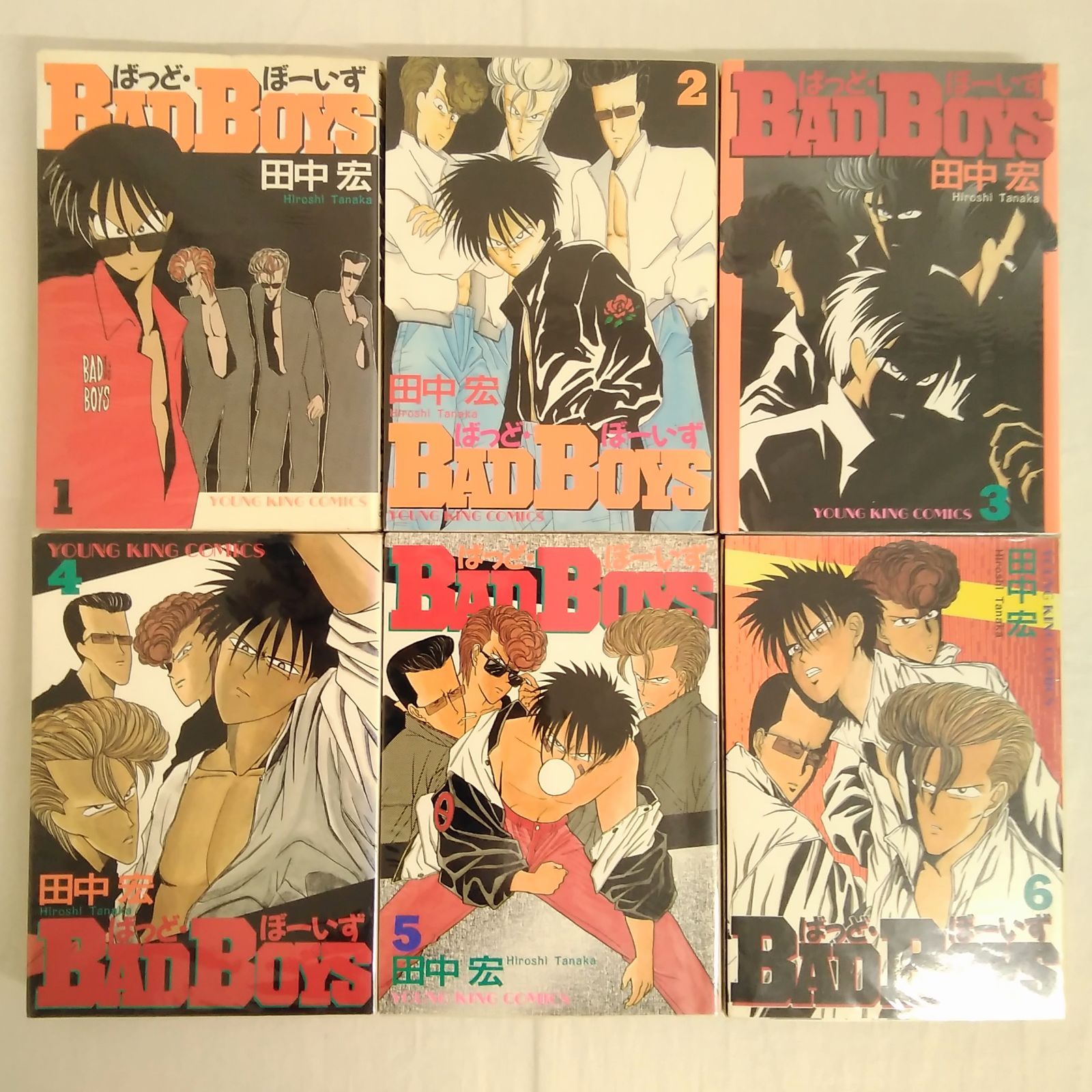 ヤングキング BADBOYS バットボーイズ 1~22巻 田中宏 少年画報社