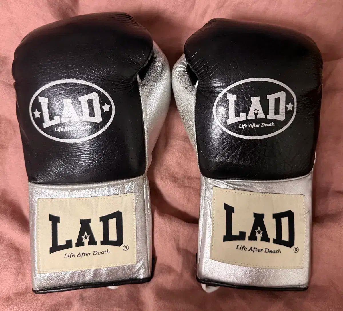 ラード ベーシック ボクシング グローブ 10 オンス ホースガン