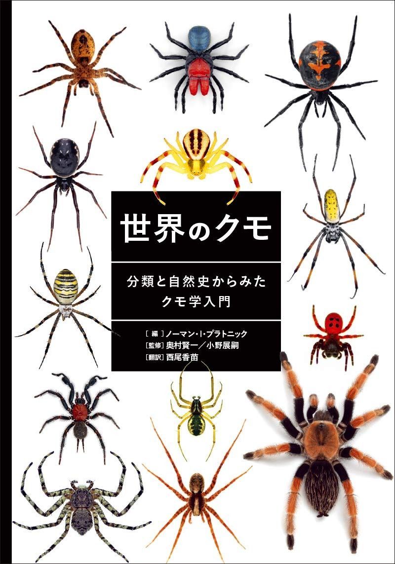 超激得，爆買い 世界のクモ 分類と自然史からみたクモ学入門 その他