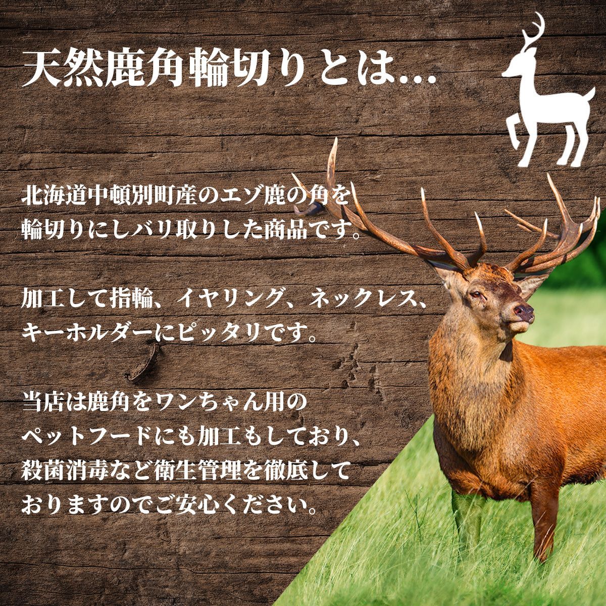 岩手産 鹿の角 日本鹿 大きい 二本セット - 置物
