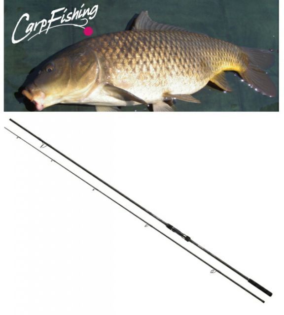 ダイワ マッドドラゴン ユーロスタイル 3-362K / 鯉竿 釣具 daiwa