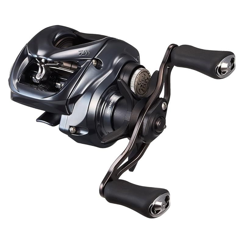 ダイワ(DAIWA) ベイトリール 25TATULA(タトゥーラ) SV TW 100L 0