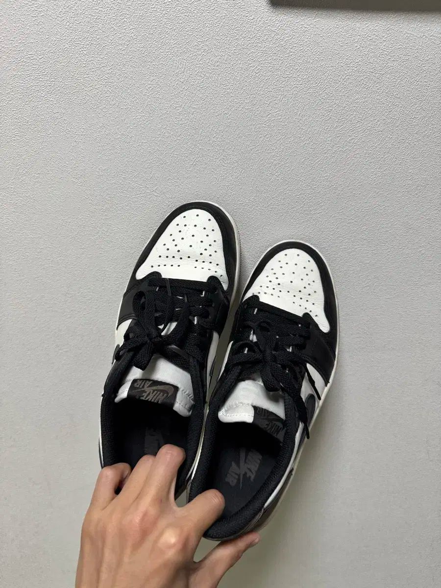 ジョーダン 1 ロー モカ 255