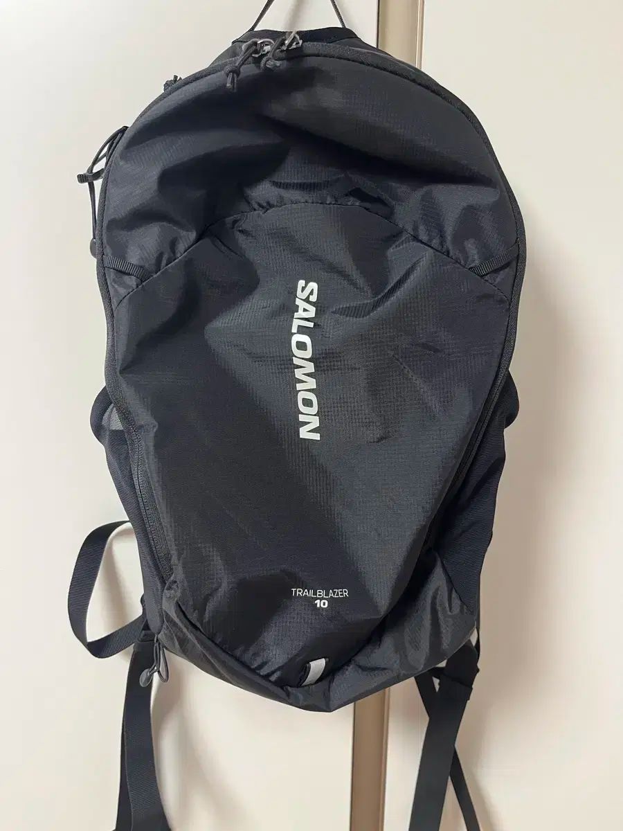 Salomon サロモン トレイルブレイザー 10