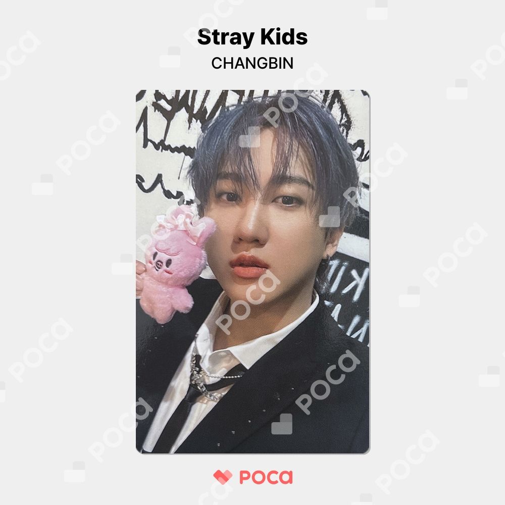 Stray Kids スキズ チャンビン ペンミ stay zone トレカ straykids チャンビン スキズ トレカ Stray Kids World Tour