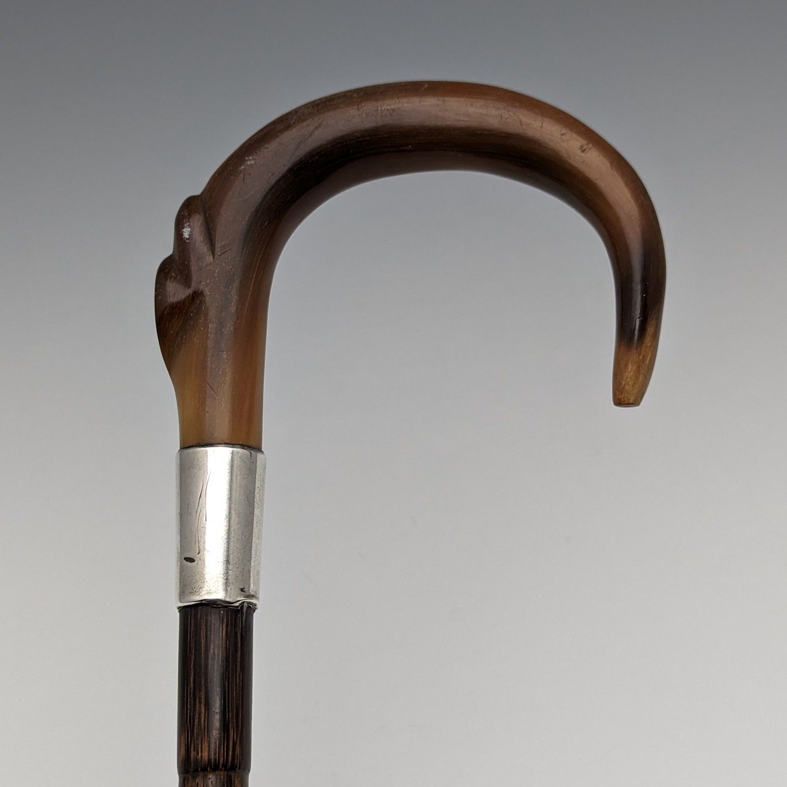 1911年 英国アンティーク レディース用ステッキ ホーンハンドル