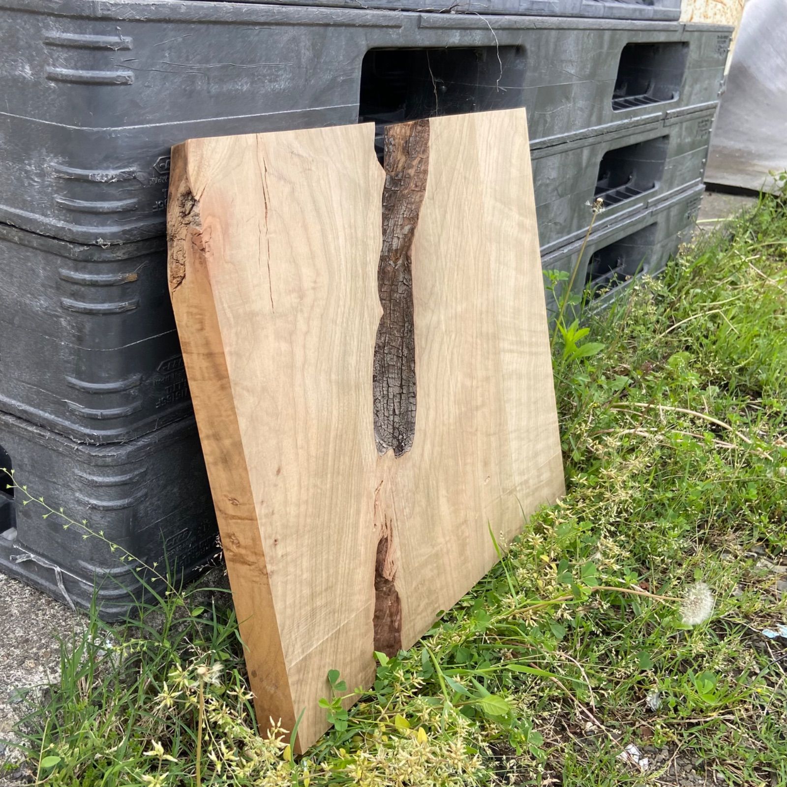 神代クス 木材 楠 無垢材 銘木 木工作品 手作り家具 インテリア