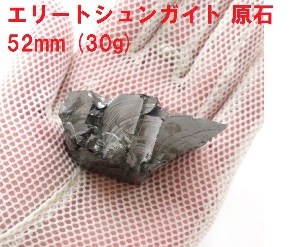 70mmアントンルリオニノコギリカミキリ 昆虫標本 70mmアントン