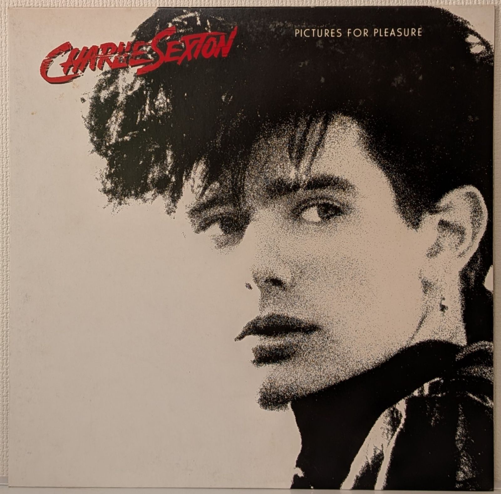 LP(Rock / Pop)チャーリー・セクストン(Charlie Sexton