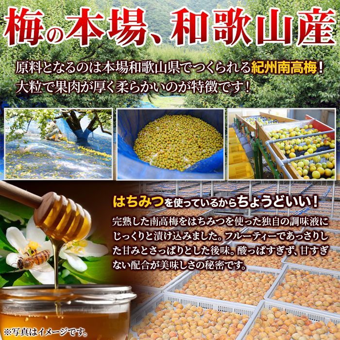 訳あり完熟はちみつ梅干し 1kg 和歌山県産 南高梅 - メルカリ