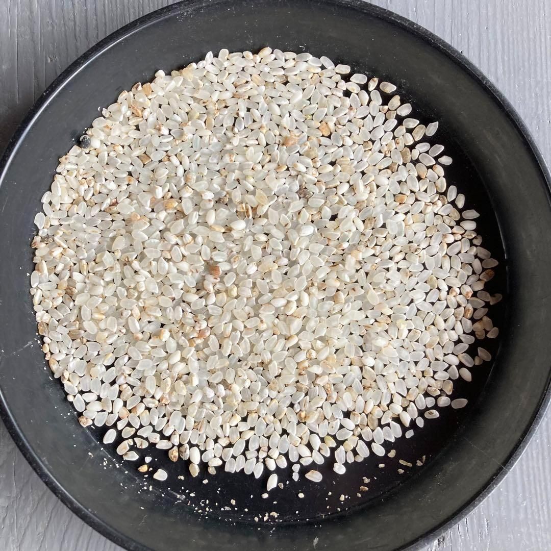 20kg 小米 鳥の餌 砕米 色彩選別機で飛ばしたお米等です