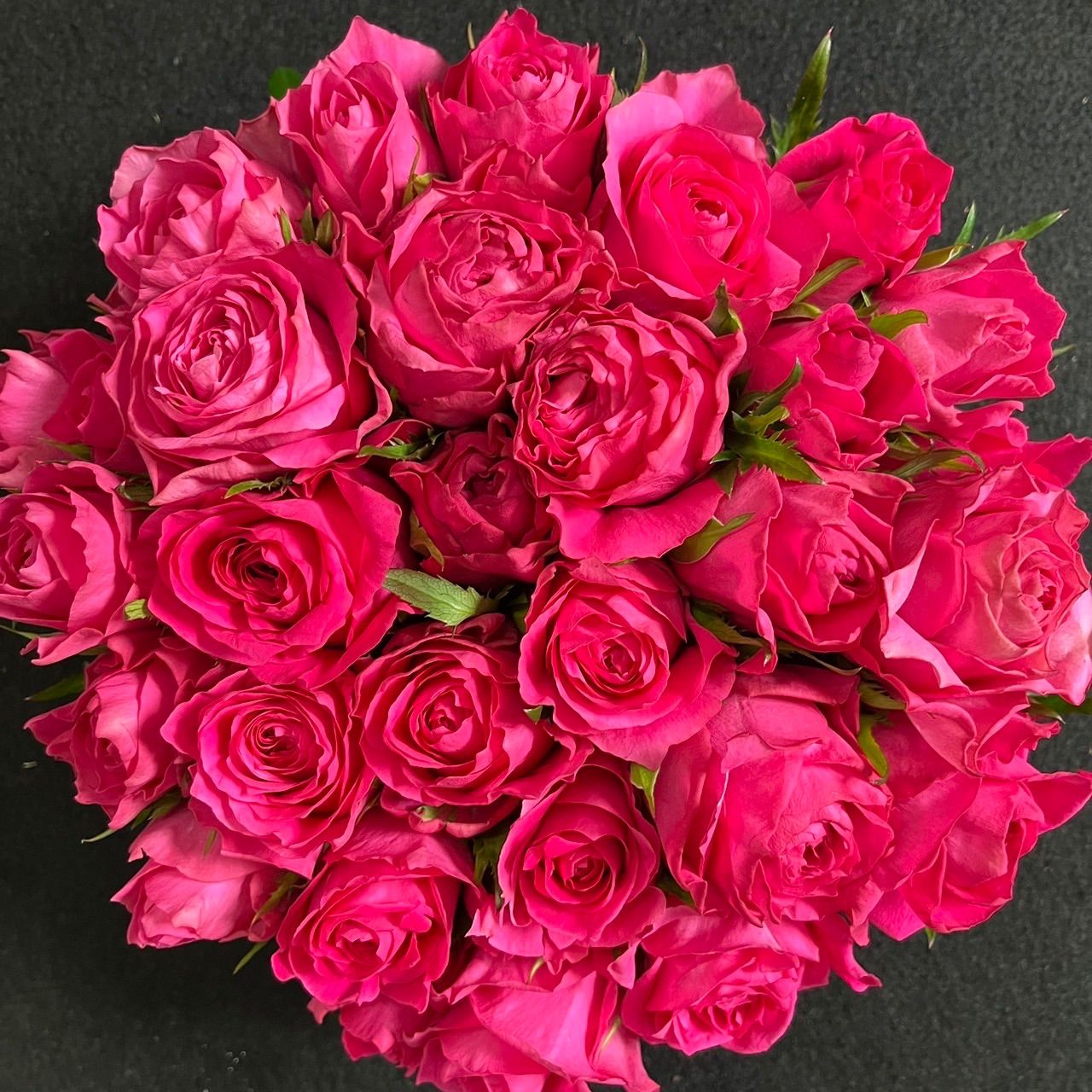 薔薇生花 ☆プリシラ☆ バラ（切り花 ・生花）フェリシタル（鮮やかなピンク色・濃いピンク