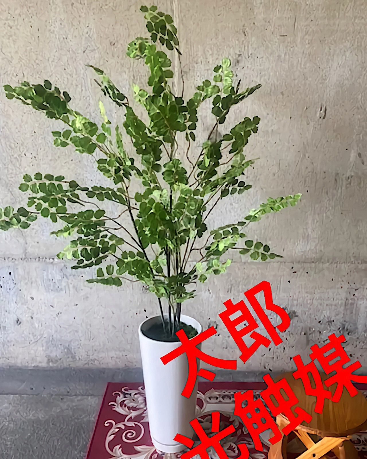 光触媒 人工観葉植物 ウォールグリーン フェイクグリーン ファーン195