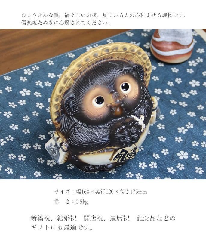 福々狸オス 10号 （信楽焼き・陶器・たぬき・タヌキ・置物・B084 【1月