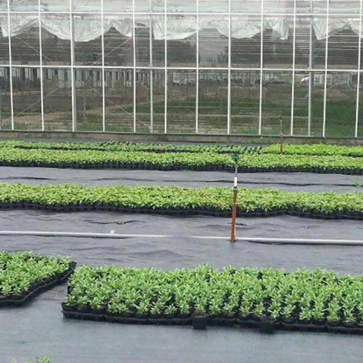 防草シート