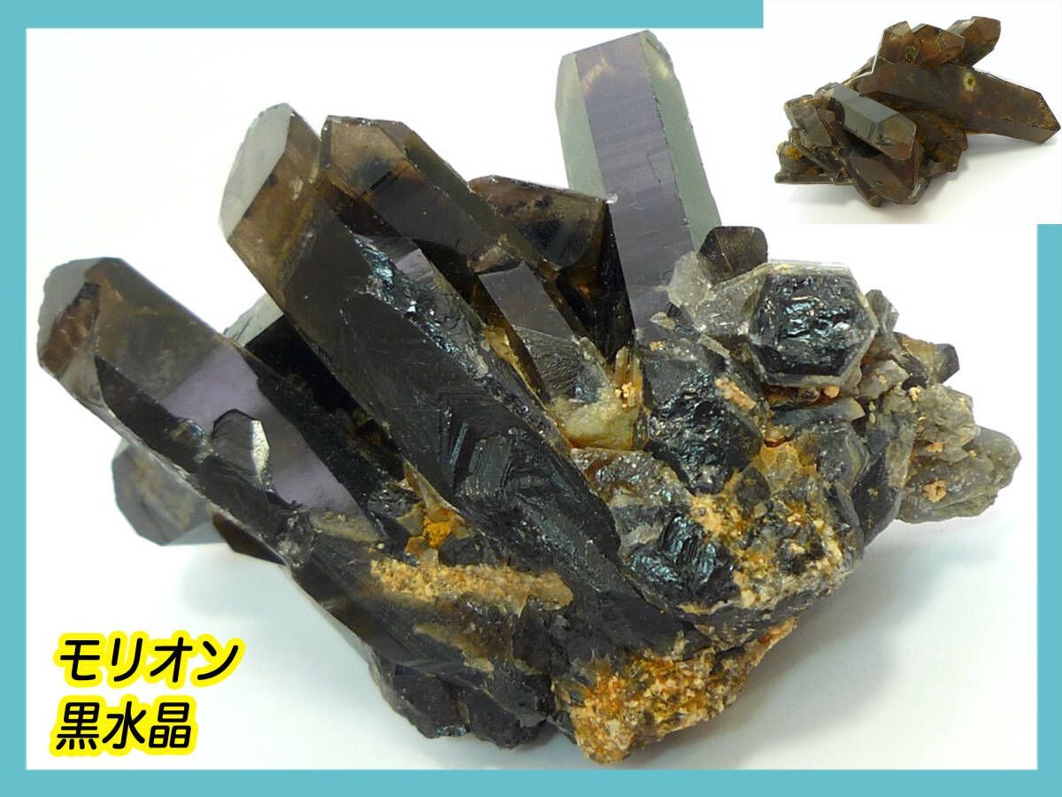 10/20〜ハンドメイド販売終了】小動物ハーネスオーダー受付☆コモン