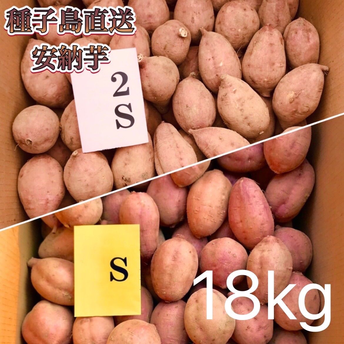 限定SALE正規品種子島産 安納芋M 18kg 野菜