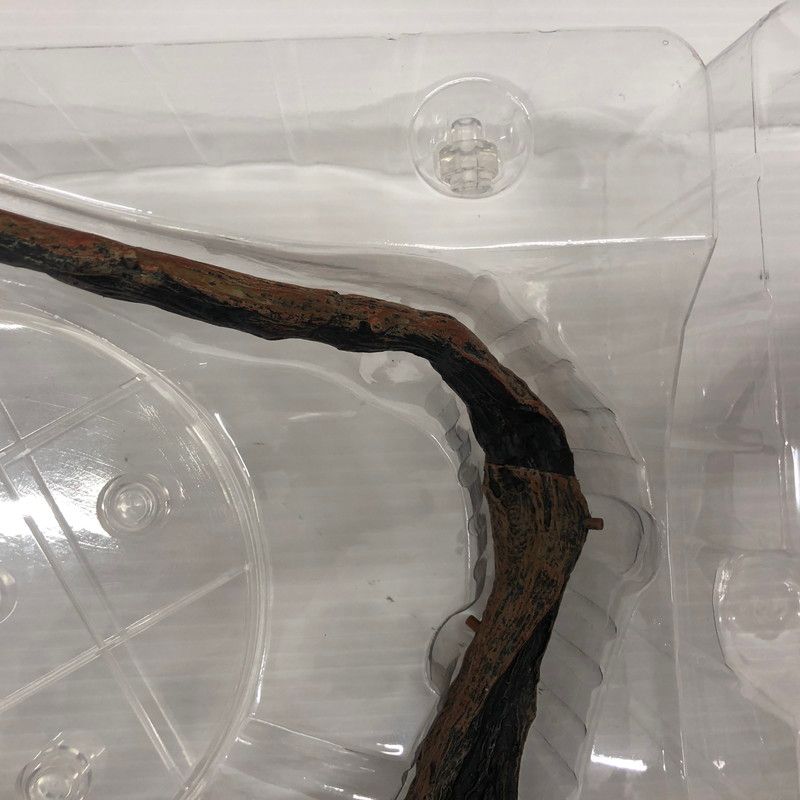 パンサーカメレオン アンビローブ