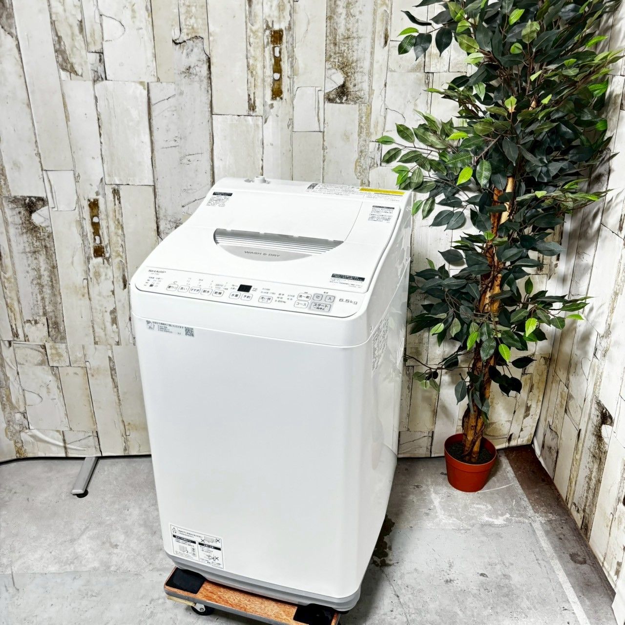 2023年製】SHARP シャープ ES-TX6G-S 洗濯機 6.5kg - メルカリ