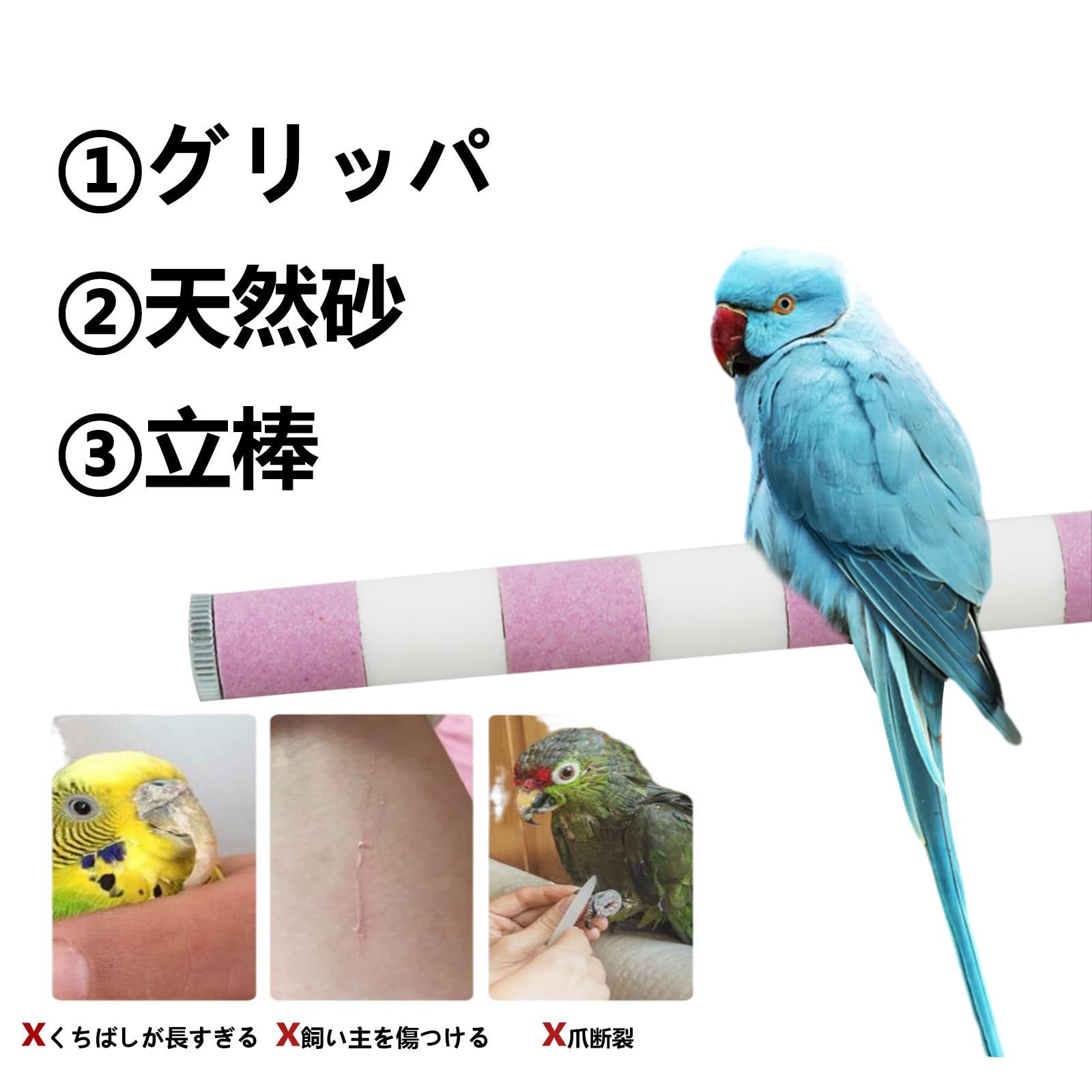 爪を磨く 文鳥 小鳥 噛む玩具 インコ オウム 鳥休み場所 鳥用爪とぎ棒 噛むおもちゃ バランス練習 爪研ぎパーチ ねじ止め鳥棒 インコ 鳥用パーチ  2本セット オウム 止まり木 鳥 20cm/本 DIFEIUKI - メルカリ