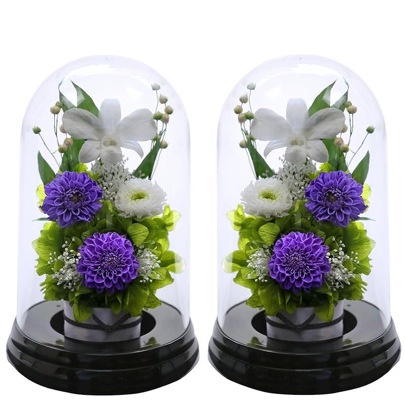 タニ沈水香木 黒油沈香4個51.3g 香道聞香用六国五味沈香伽羅 伽羅の木 値段