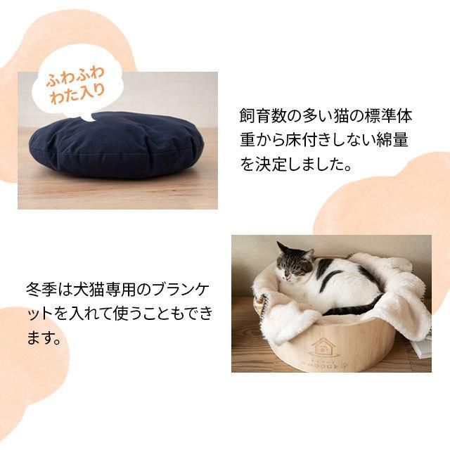 キャット