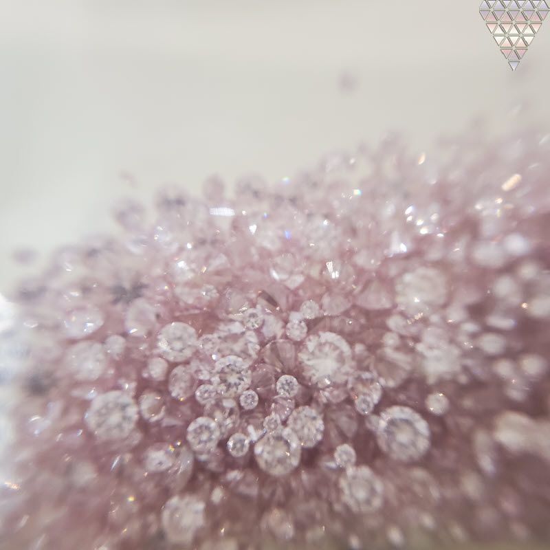 15 ピース 0.01 ct 合計 約 0.15 ct Fancy Pink SI1-VS 天然