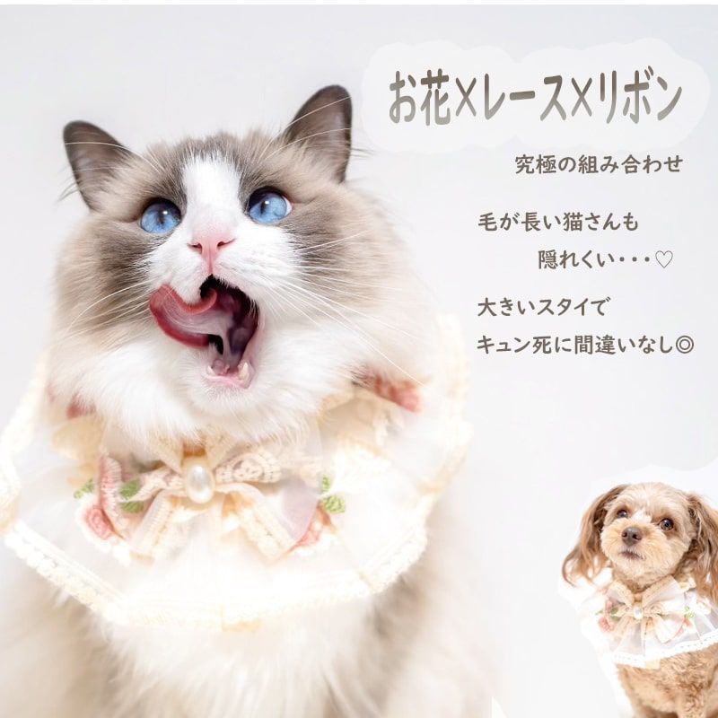 レース スタイ 犬 猫 かわいい 首輪 取付簡単 撮影 思い出