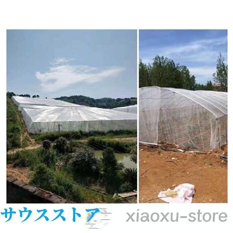 1mm目 野菜栽培