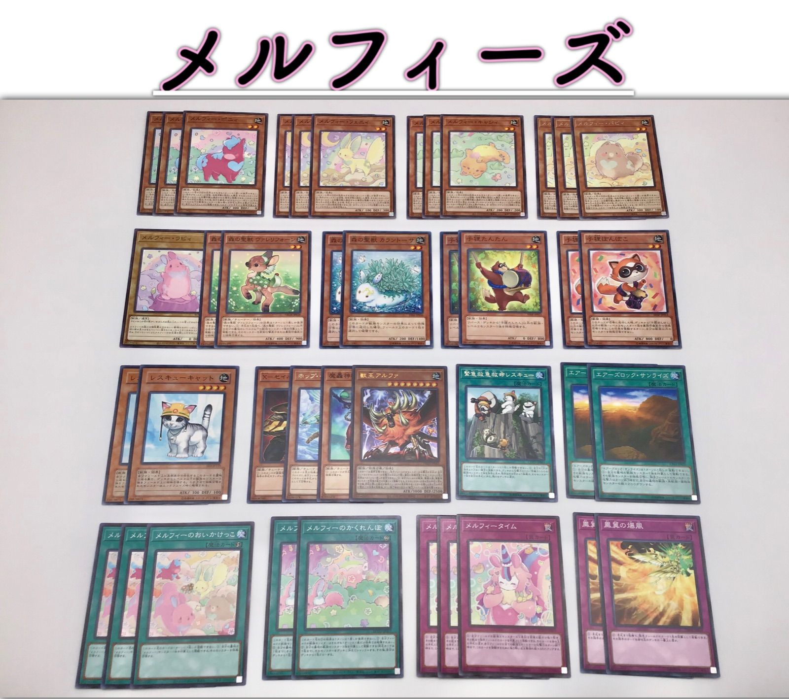 小5国語 塾なし クロスカリキュラム 教材 右脳教育 小5国語 塾なし