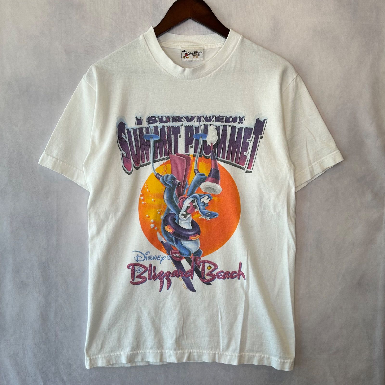 ウォルトディズニーワールド WDW ピクサー ポリエステル ジャケット Lサイズ Disney - ウォルトディズニーワールド WDW50th 限定 スピリット