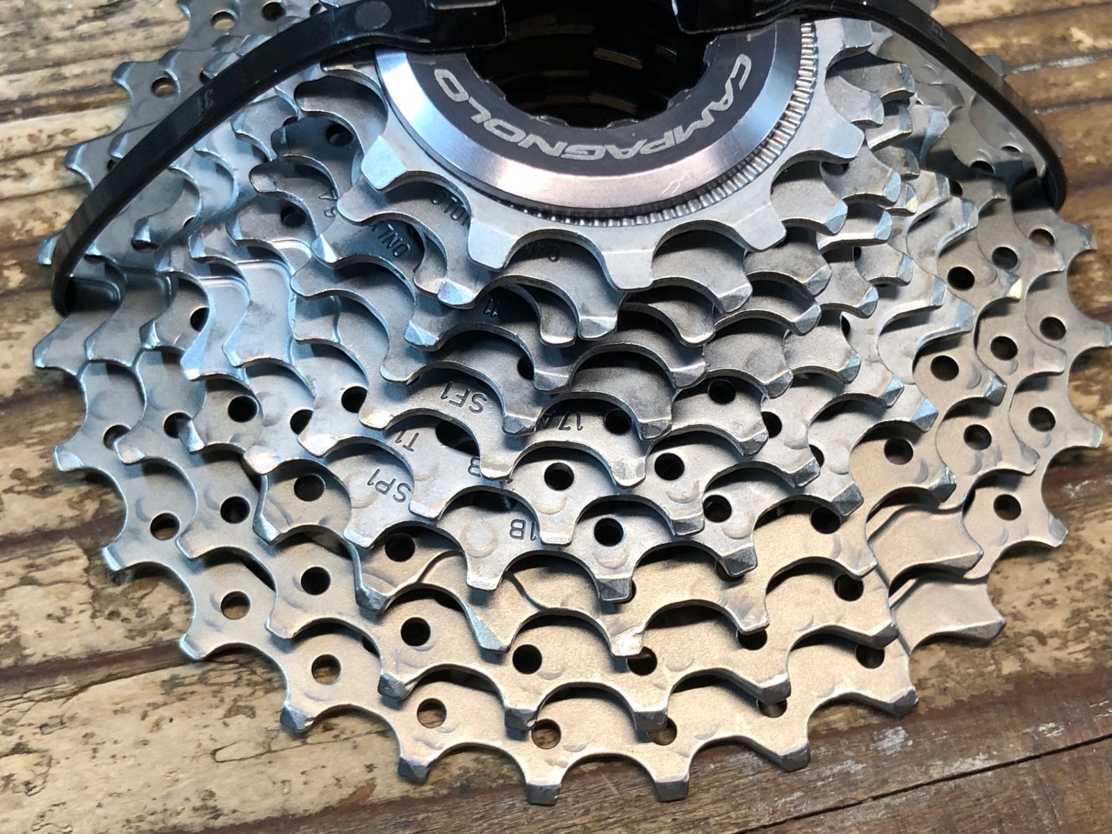 Campagnolo レコード