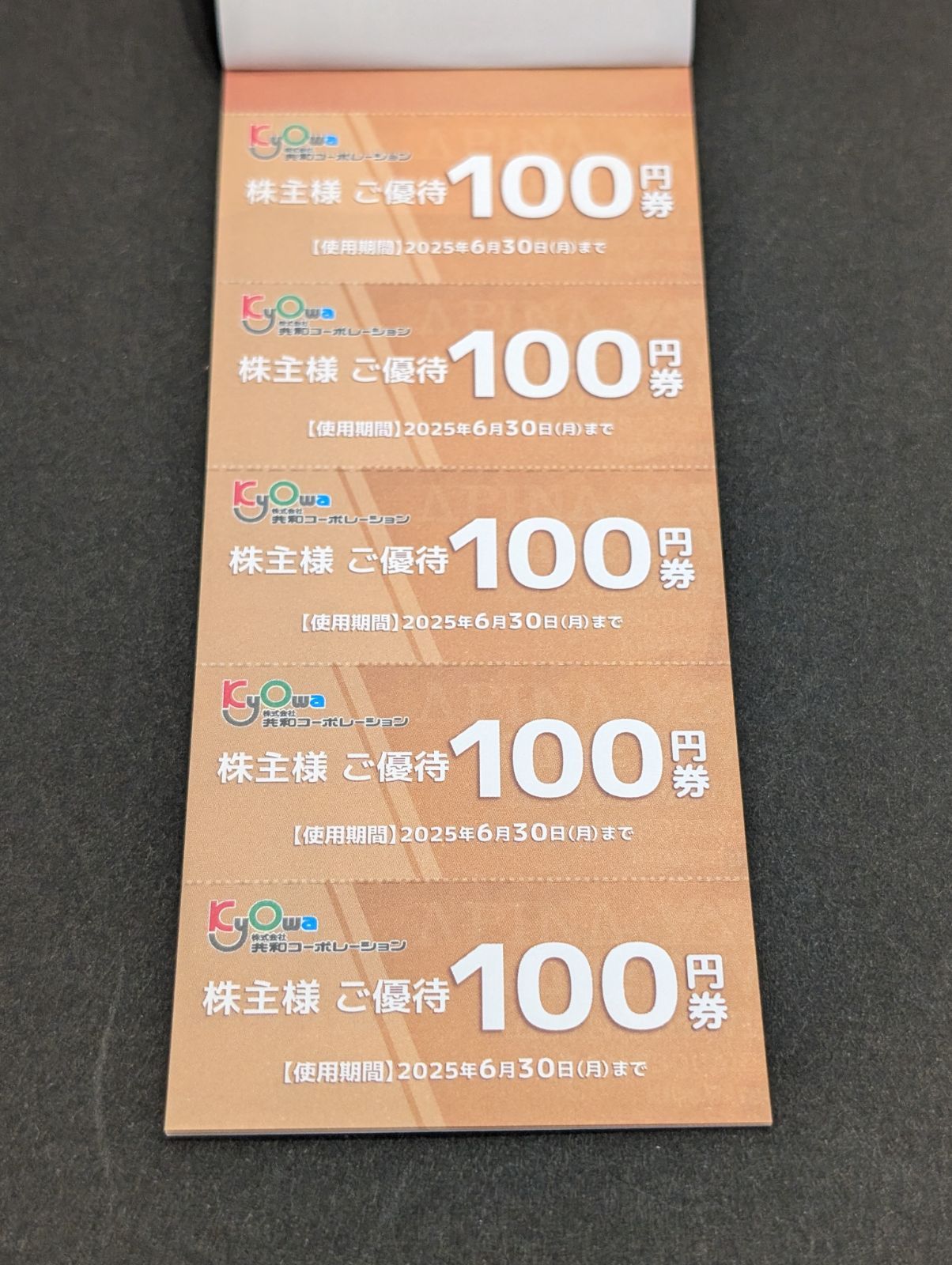 共和コーポレーション株主優待券10000円分 共和コーポレーション 優待券10000円分 共和コーポレーション株主優待
