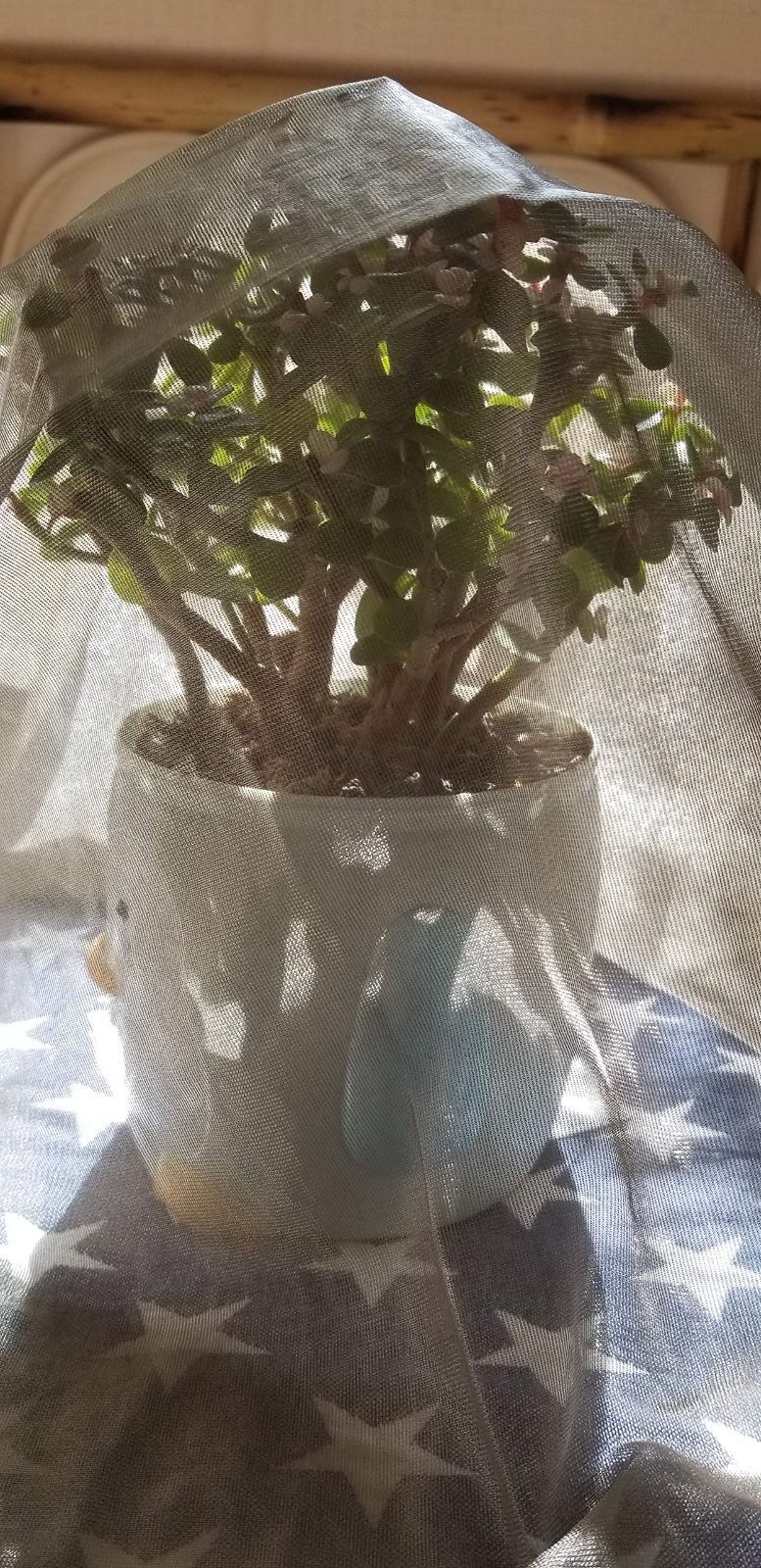 新着商品 EMF保護|信号シールド|RFID遮蔽ソフトガーゼソフトクロス キャノピー|カーテン用 LVFEIER